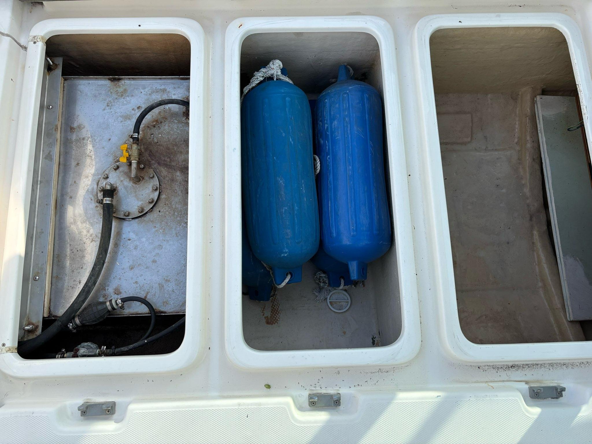 SUNCRUISE-24Ⅱ - 画像 (10)