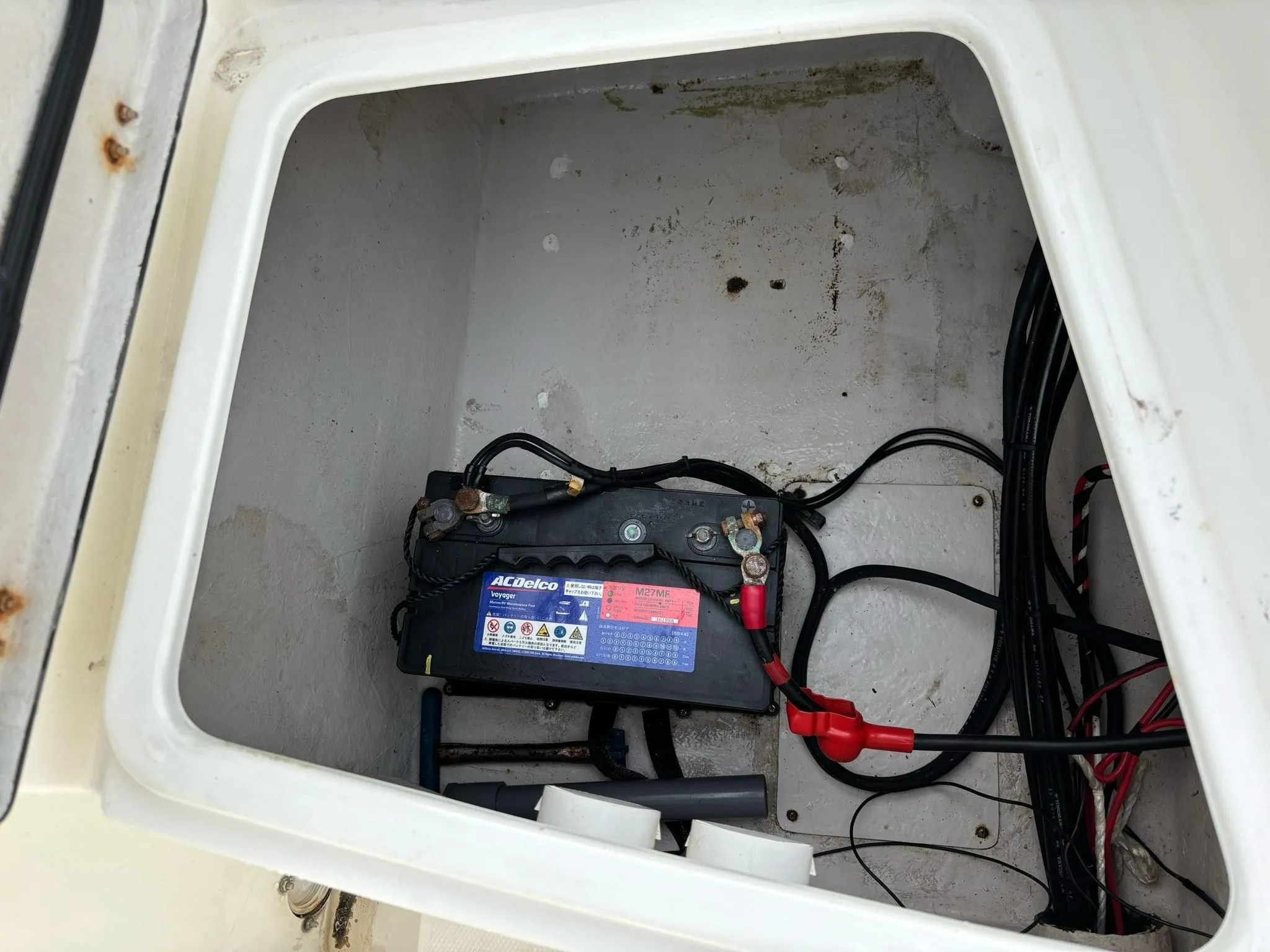 ニッサン サンキャット245CS - 画像 (3)